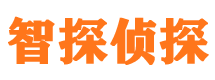 上街私家侦探